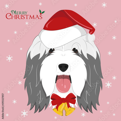 Christmas greeting card. Bearded Collie dog with red Santa's hat and golden Christmas bells