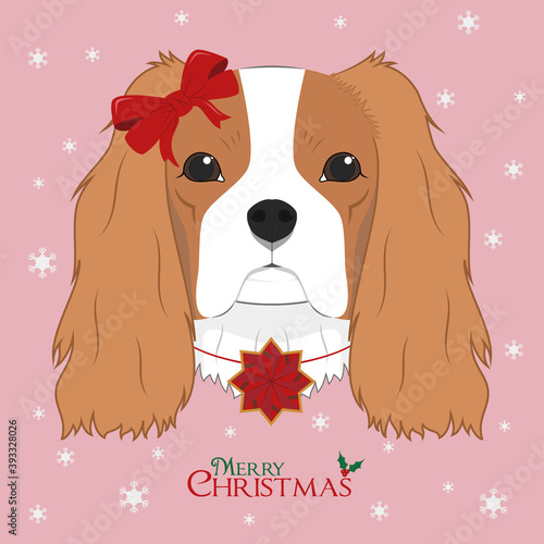 Christmas greeting card. Cavalier King Charles Spaniel dog with a red bow and a Christmas ornament