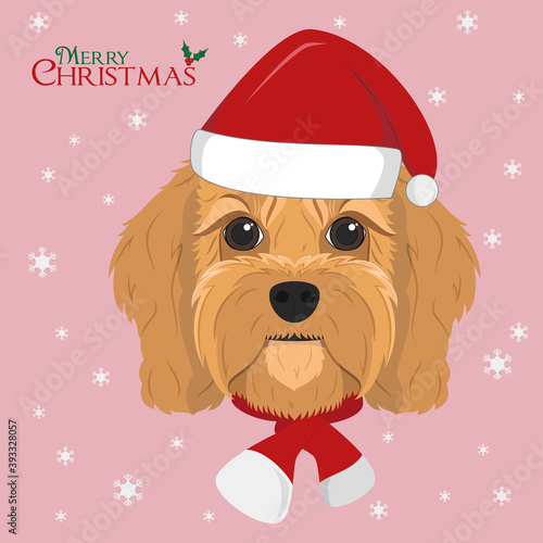 Christmas greeting card. Cavoodle dog with red Santa´s hat and a woolen scarf for winter