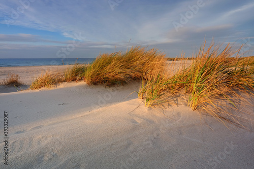 Morze Bałtyckie, plaża ,wydmy ,biały piasek ,trawa ,falochron, port, Kołobrzeg,Polska.