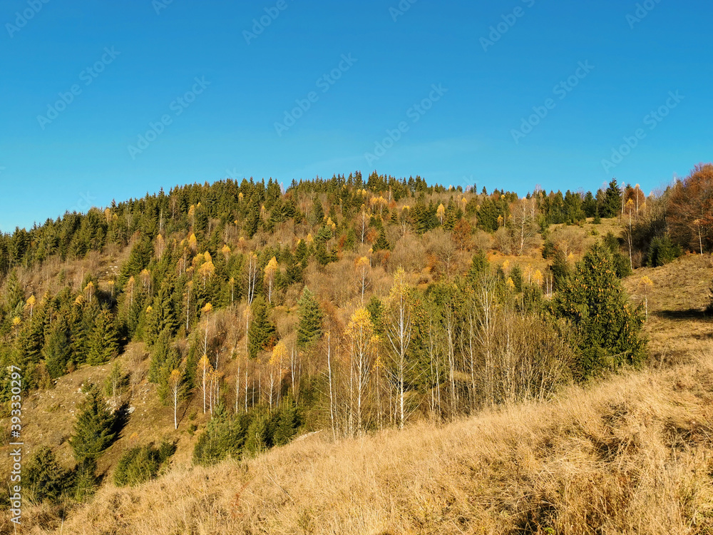 Apuseni mountains nature in Romania
