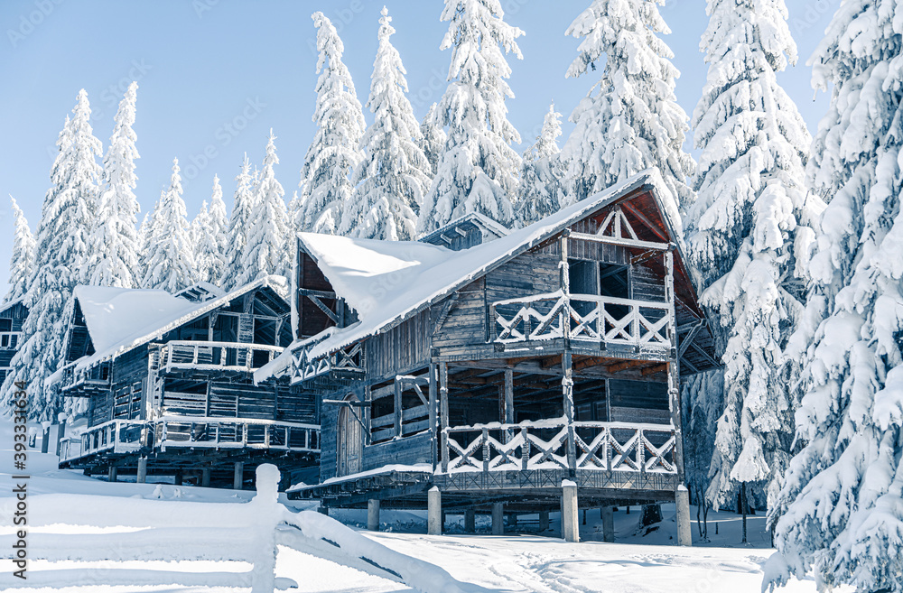 Fototapeta premium Beautiful snowy fir trees in frozen mountains landscape with house on north. Christmas background with tall spruce trees covered with snow. Alpine ski resort. Winter greeting card. Happy New Year