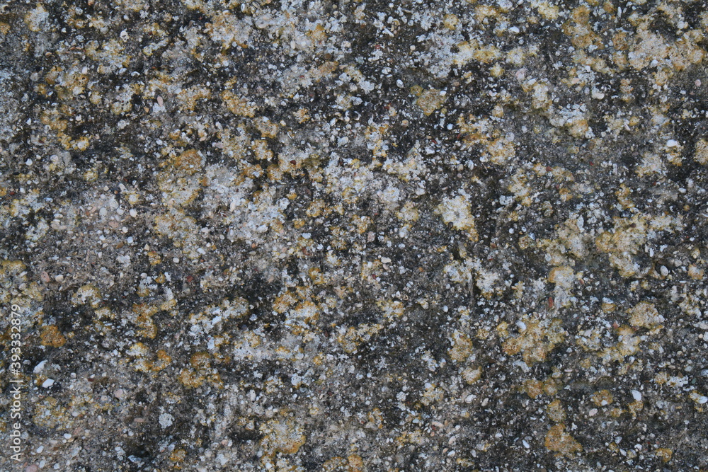 Texture, muri, legno, corteccia, metalli Texture, muri, legno, corteccia, metalli