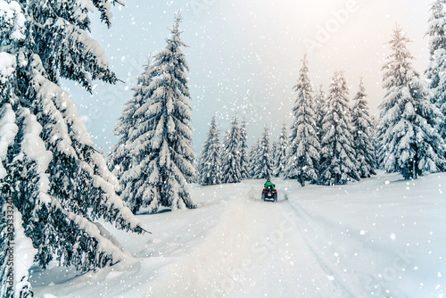 Rider driving in the quad bike race in winter in beautiful snowy road with fir trees in frozen mountains forest. Winter holiday, bokeh, snowflakes, lights, sunset