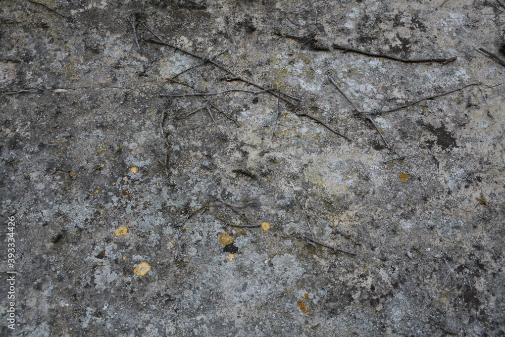 Texture, muro, foglie, corteccia, metallo Texture, muro, foglie, corteccia, metallo