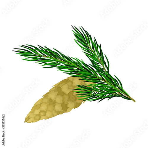 Pine Twig with Needles and Hanging Cone Vector Illustration