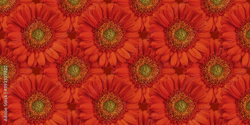 beautiful background with flowers seamless pattern with red gerbera