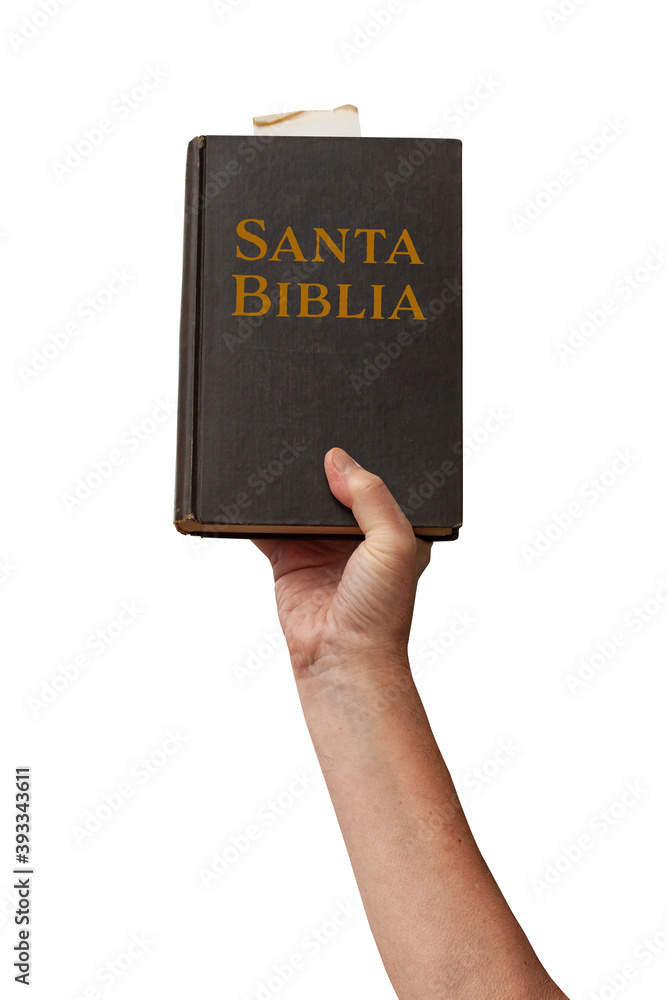 Naked arm raised into the air with hand reaching up holding the Santa Biblia - Holy Bible in Spanish with golden title on binding. Symbolic posture of prayer and worship. Isolated on white background. Naked arm raised into the air with hand reaching up holding the Santa Biblia - Holy Bible in Spanish with golden title on binding. Symbolic posture of prayer and worship. Isolated on white background.