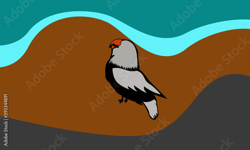illustration bird in beach 