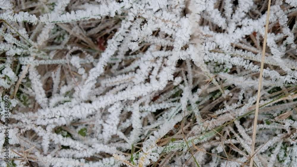First frost on the dry grass. November, winter's chill First frost on the dry grass. November, winter's chill