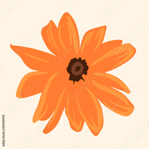 Vector rudbeckia. Isolated flower. Hand drawn illustration.