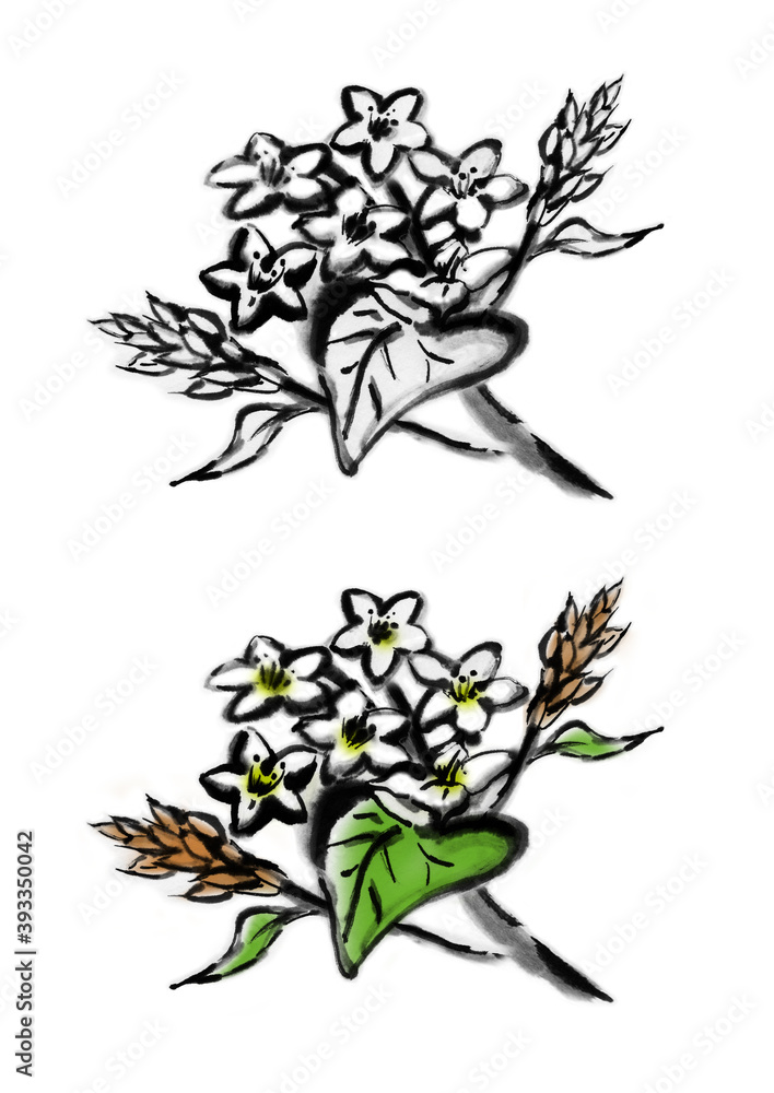 蕎麦の花のイラスト Stock Illustration Adobe Stock 蕎麦の花のイラスト Stock Illustration Adobe Stock