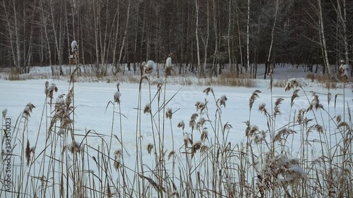 Wallpaper Mural Beautiful winter landscape, grass on coast of lake. Torontodigital.ca