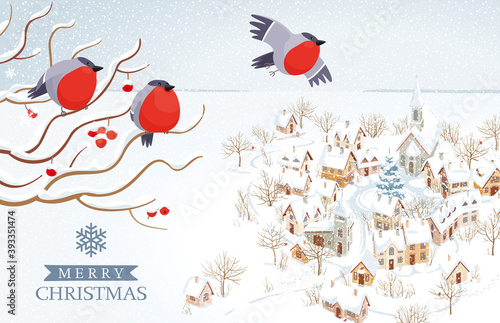 Vector bullfinches flying over winter rural landscape