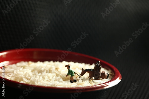 Miniature farmer with horse carriage figure model put on the rice bowl scene represent argriculture and food concept related idea.