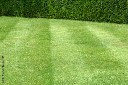 A perfect hedge and lawn