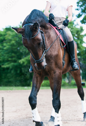Horseback riding at equestrian school. Training process