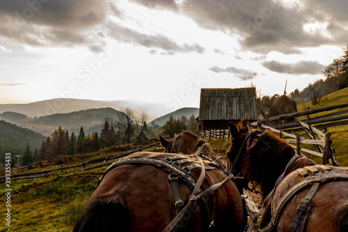 Horse Carriage in romania mountains © Stuhlmuller Monica
