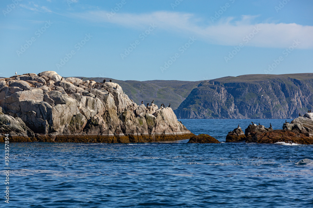 Bird-watching during a sea safari on Gjesvaer islands, Norway Bird-watching during a sea safari on Gjesvaer islands, Norway