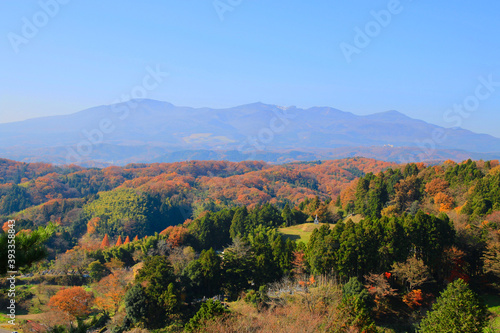 秋の霞ヶ城公園（福島県・二本松市）