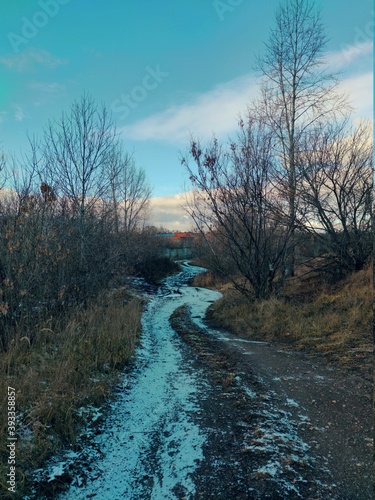 snow covered winding road between trees with fallen leaves in an autumn landscape