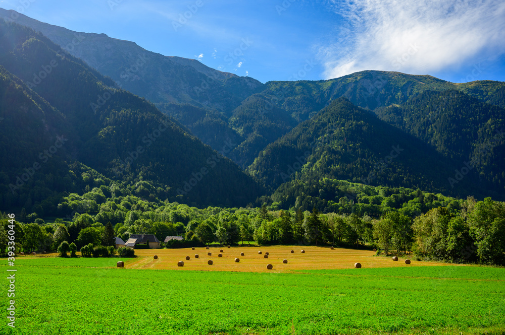 Green meadows and new hay in French Prealps, nature background