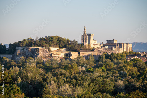 Panoramic view on old walls and palace of popes in ancient city Avignon  South of France