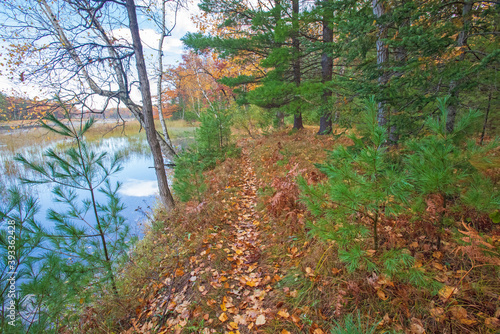 AuSable River  Pine Acres Landing  riverside trail  Huron National Forest  Cooke Dam Pond  Iosco County  Michigan