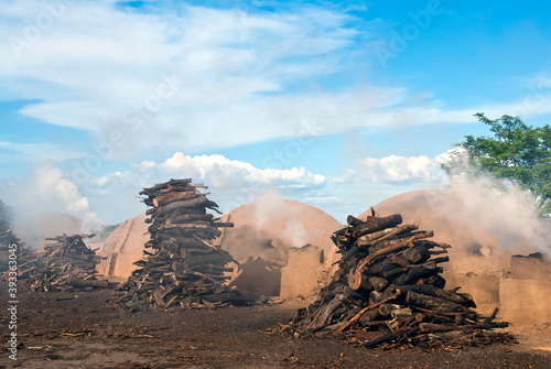 Fornos de Carvão queimando eucalípito em antiga região de caatinga; . photo