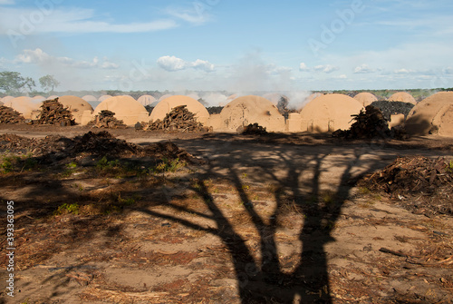 Fornos de Carvão queimando eucalípito em antiga região de caatinga; . photo