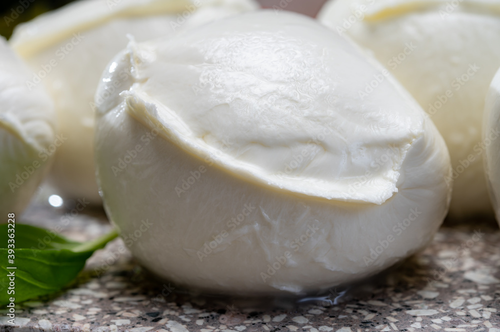 Fresh handmade soft Italian cheese from Campania, white balls of buffalo mozzarella cheese made from cow milk ready to eat Fresh handmade soft Italian cheese from Campania, white balls of buffalo mozzarella cheese made from cow milk ready to eat