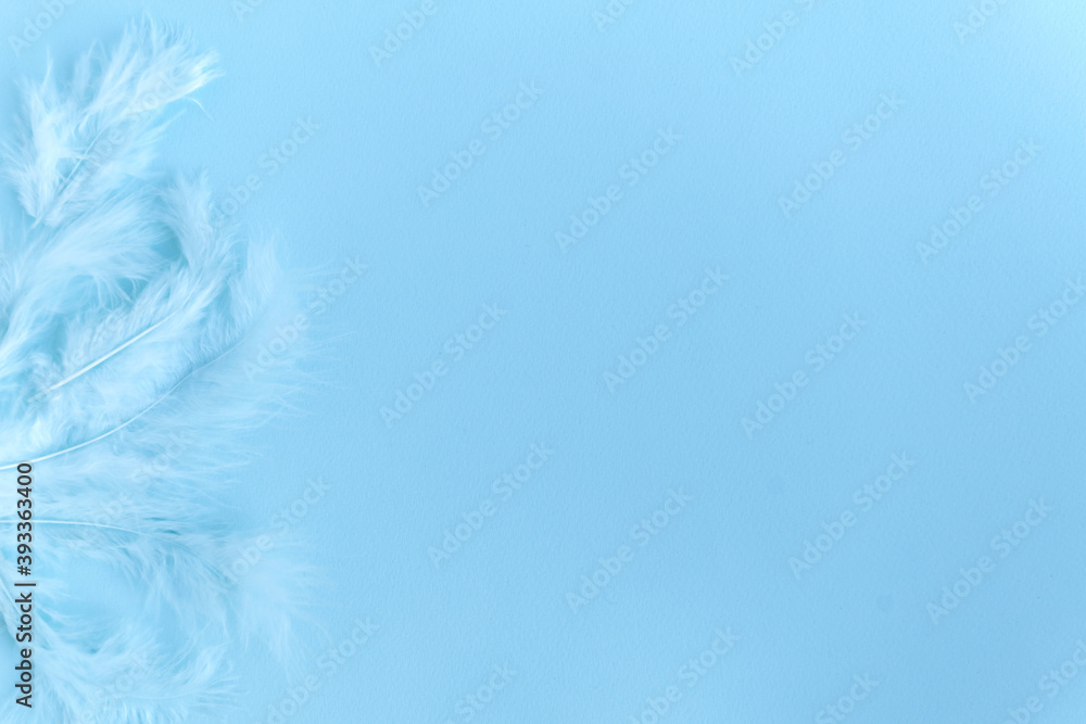 Blue background with blue bird's feathers, copy space Blue background with blue bird's feathers, copy space
