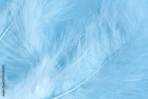 Blue background with blue bird's feathers