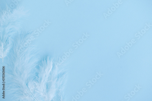 Blue background with blue bird's feathers, copy space © shapovalphoto