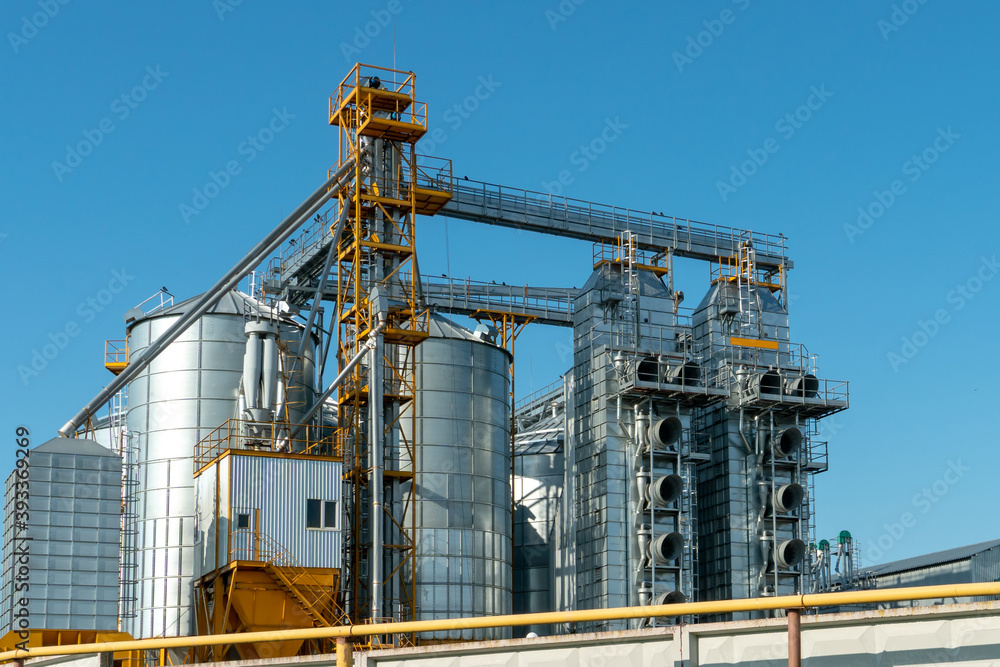 silver silos on agro manufacturing plant for processing drying cleaning and storage of agricultural products, flour, cereals and grain. Large iron barrels of grain. Granary elevator