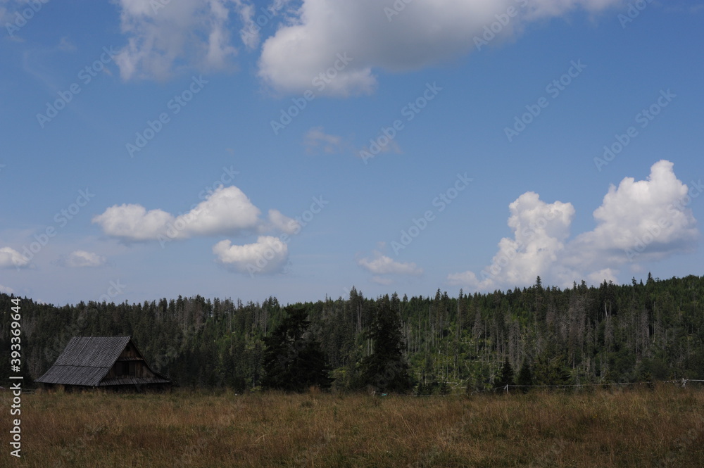 Panoramic view on Gorce Mountains in southern Poland in summer with green pine hills and meadows with grass on a sunny day with blue sky and clouds