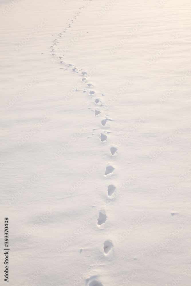 human footprints in the fresh snow human footprints in the fresh snow