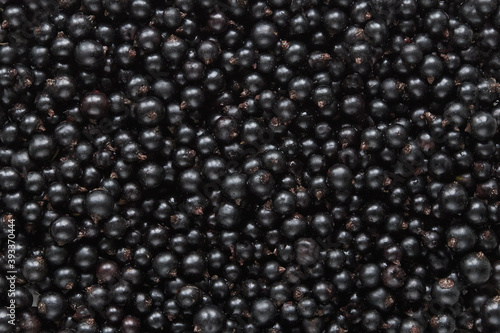 Background of backfilling of black currant berries close up