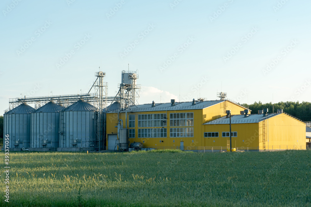silver silos on agro manufacturing plant for processing drying cleaning and storage of agricultural products, flour, cereals and grain. Large iron barrels of grain. Granary elevator