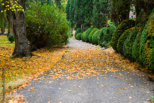 Park and garden in Tsinandali, Georgia. Autumn park landscape. photo