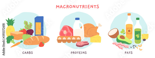 Food macronutrients. Fat, carbohydrate and protein foods groups with fruits and dairy products. Nutrient complex diet vector infographic. Illustration eating ingredient, grocery nutrition for cooking photo