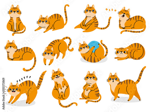 Cat poses. Cartoon red fat striped cats emotions and behavior. Animal pet kitten playful, sleeping and scared. Cat body language vector set. Illustration pet cat, cute striped animal kitten