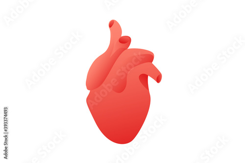 Modern illustration of human heart icon isolated on white background. Heart diseases, treatment of cardiovascular diseases.