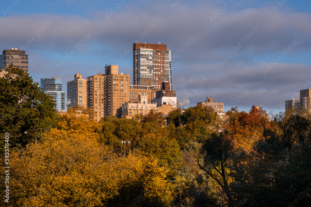 New York City - USA - Oct 31 2020: Beautiful Foliage Colors of New York Central Park New York City - USA - Oct 31 2020: Beautiful Foliage Colors of New York Central Park