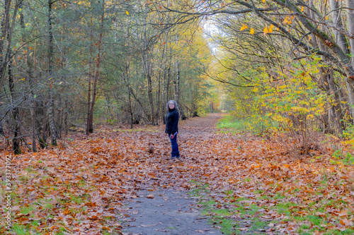 Mature woman with her dog standing and looking at the camera in the middle of a path covered with dry leaves between autumn trees in the Meinweg nature reserve in Middle Limburg, Netherlands