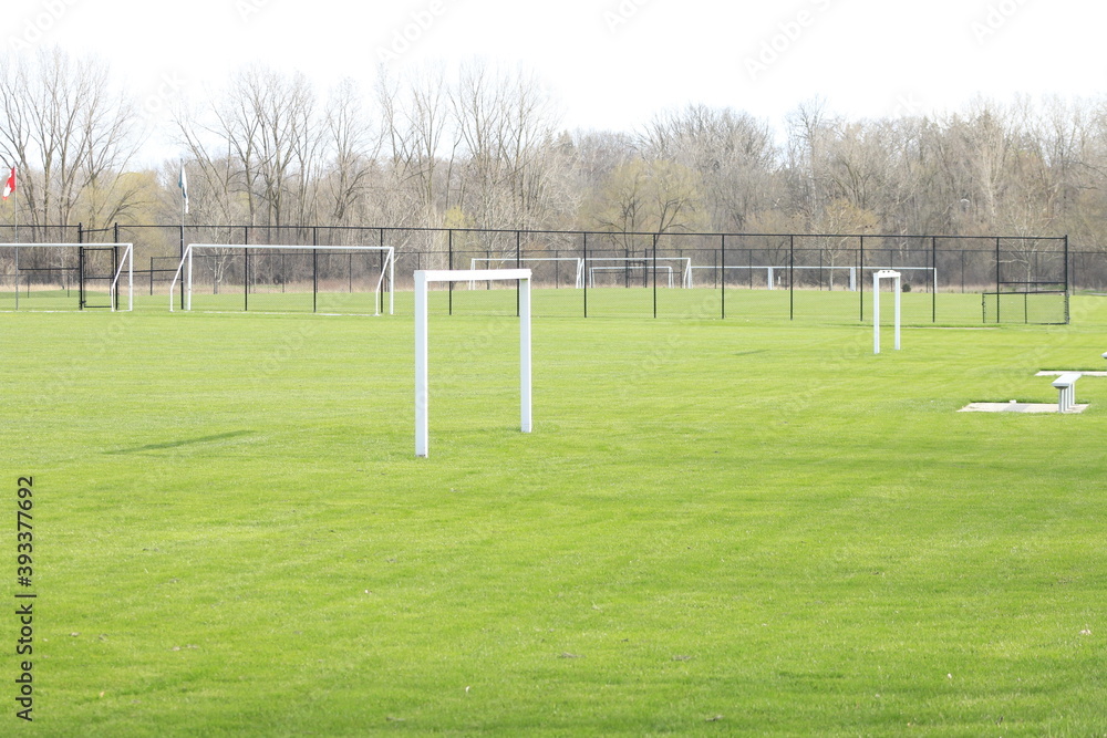 Fototapeta premium soccer ball on the field
