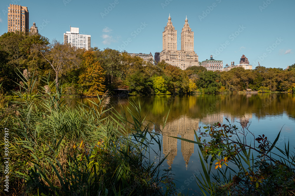 New York City - USA - Oct 31 2020: Beautiful Foliage Colors of New York Central Park