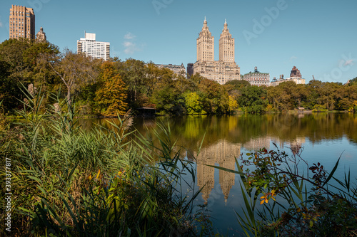 New York City - USA - Oct 31 2020: Beautiful Foliage Colors of New York Central Park