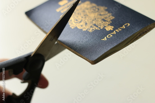 Cutting a canadian passport. Concept of renouncing citizenship or leaving the country. Dissastisfaction with Canada photo
