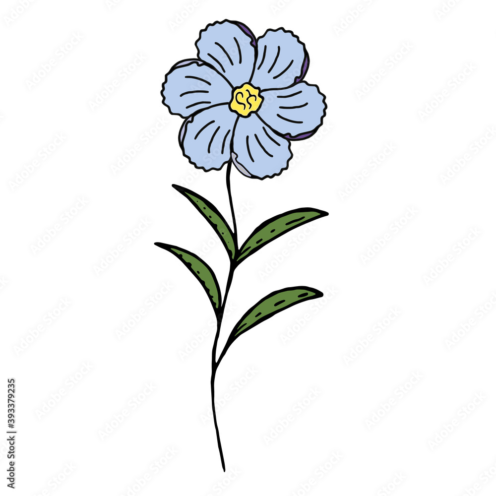 Blue flower on a white background. Vector hand drawn illustration.
